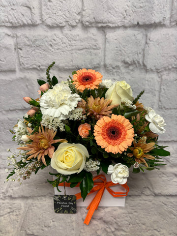 Apricot Delight