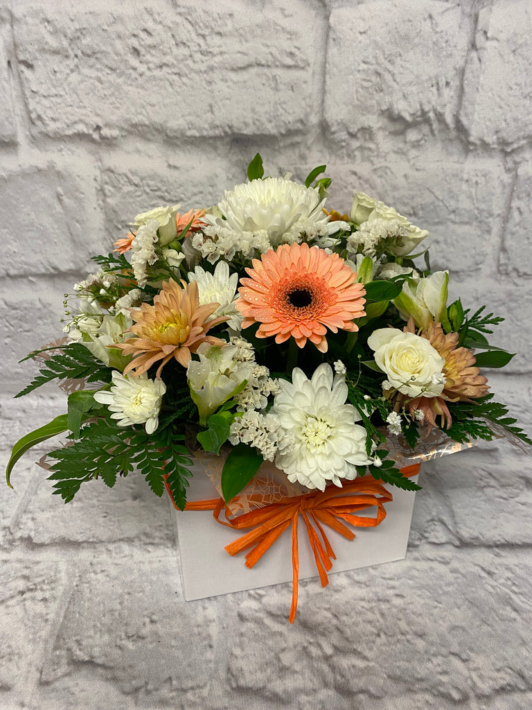 Apricot Delight