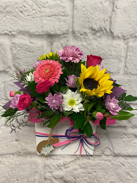 Box Arrangement