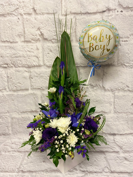 Sweet Baby Blue