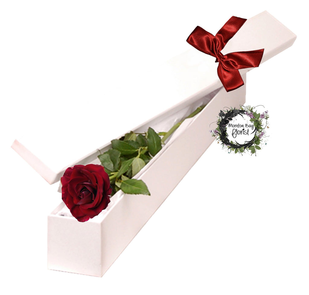 Single long stemmed rose in presentation box